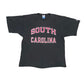 Vintage South Carolina Champion T-Shirt